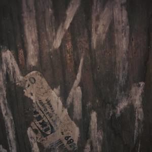 Meet your Posher, Armando